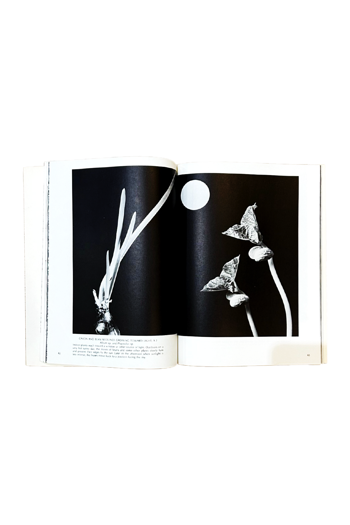 Classic Paris - Book - William M. Harlow - Art Forms from Plant Life